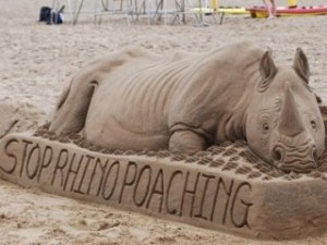Sanele Magcaba's rhino sand sculpture at Durban Beach in South Africa.