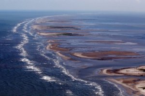The Louisiana Coast after the oil spill(photo credit: www.phys.org) 