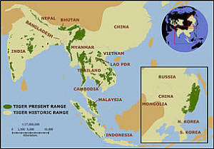 Tiger range (Map: World Wildlife Foundation)