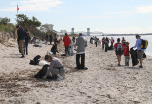 NYC-Audubon-volunteers-at-Plumb-Beach