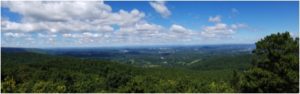 View from the top of Black Rock Forest.